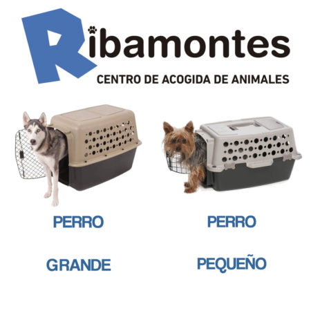 C Mo Medir A Tu Perro Para Transportarlo Ribamontes Centro Acogida